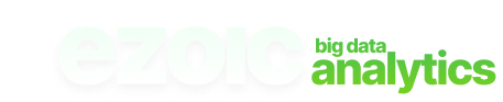 Big Data Analytics 
