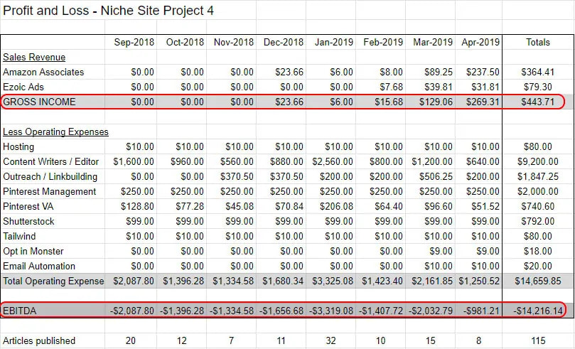 Profit and Loss of Niche website 