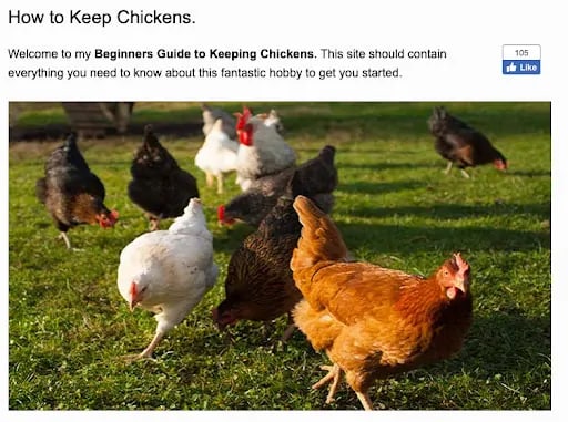 Wie man Hühner hält Artikel Keyword-Dichte Beispiel