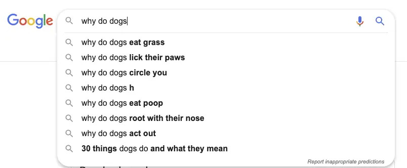 Warum machen Hunde: Google Dropdown-Vorhersage dieser Abfrage
