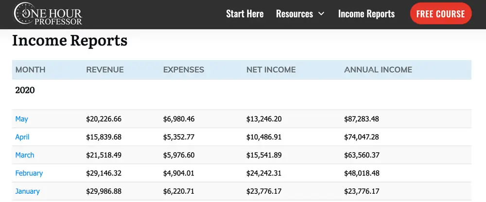 One Hour Professor's Income Reports: warum Display-Anzeigen das beste Geschäftsmodell sind