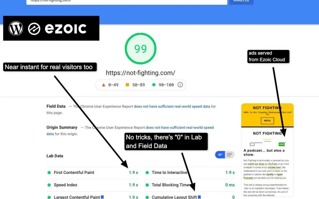 How I Made A Fast Wordpress Site With Ads Using Ezoic Leap Beta