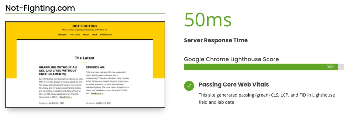 website not fighting fast wordpress scores