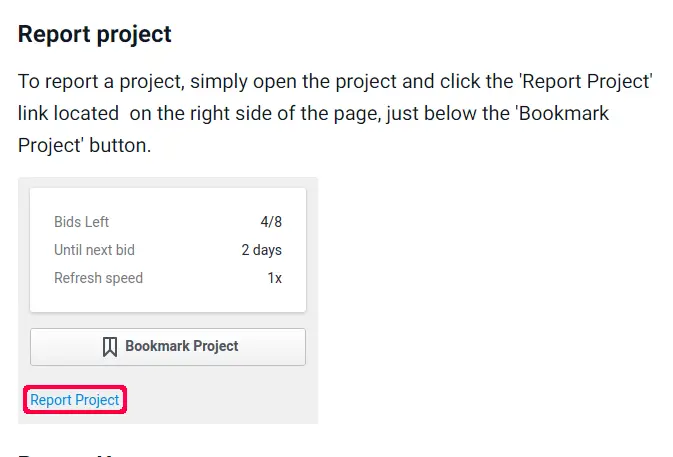 freelancer report project